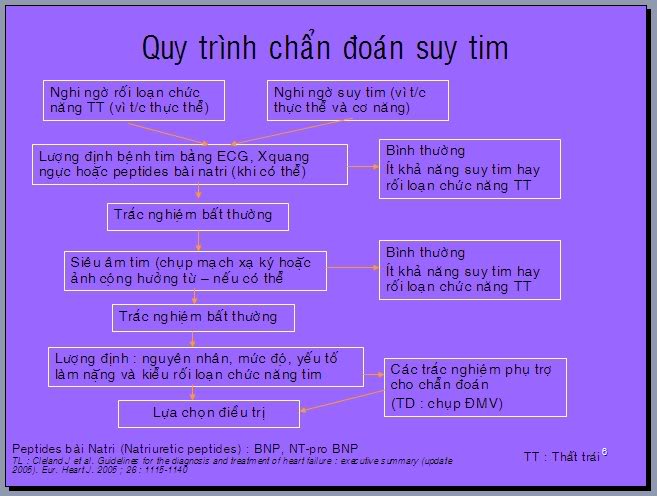 Hinh01c