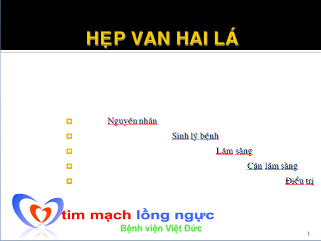 2l1