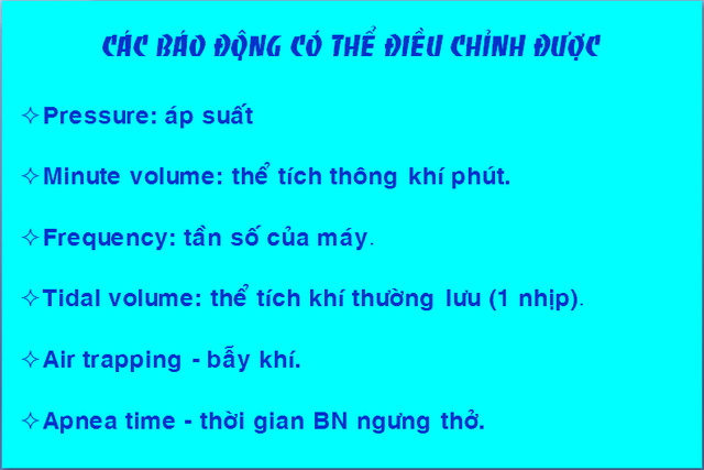 baodong3