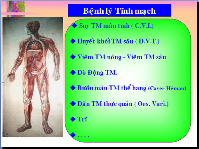 bltm