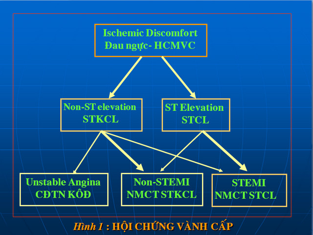 hoichungvanhcap1