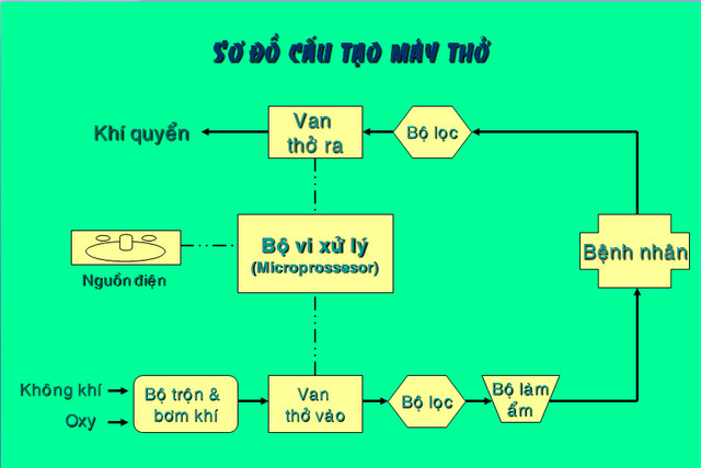 thomay2